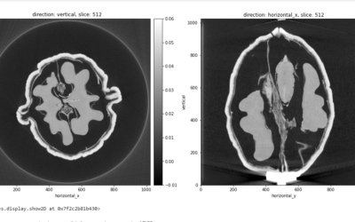 Online Training – Introduction to the Core Imaging Library (CIL)