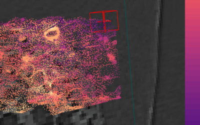 Digital Volume Correlation. Training on iDVC